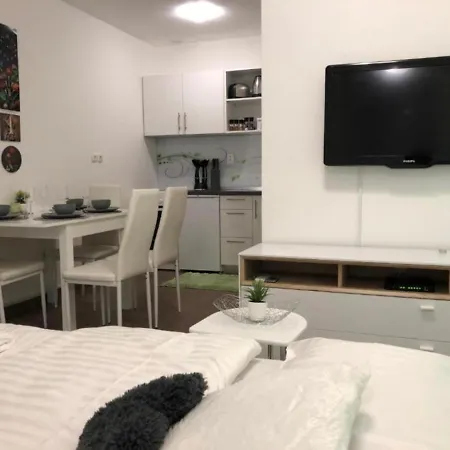 Modern Center Studio Under The Castle - Free Parking Apartman *